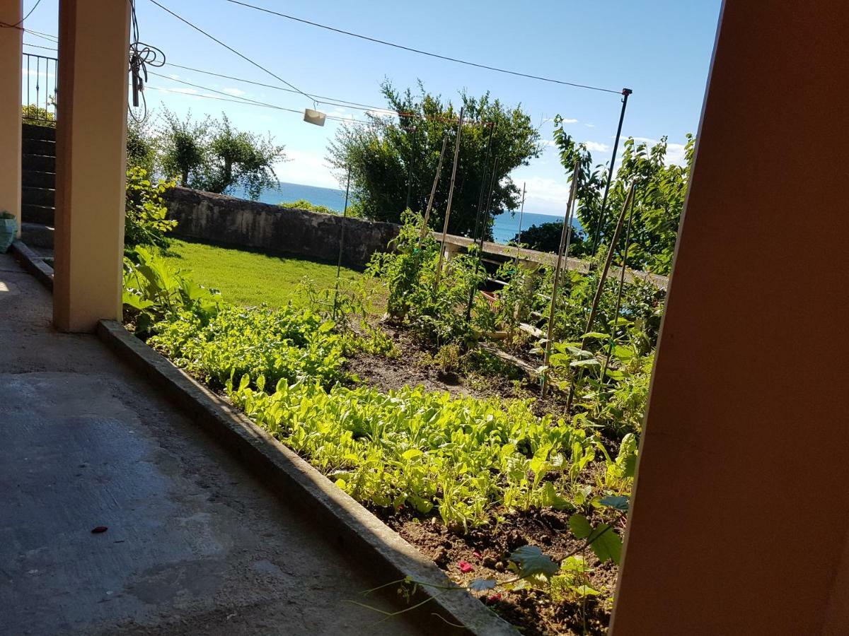 ☼Sunset Apartment Piran Dış mekan fotoğraf